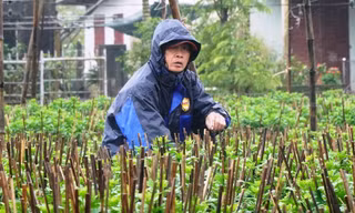 Huế lạnh như mùa đông vào giữa tháng 4