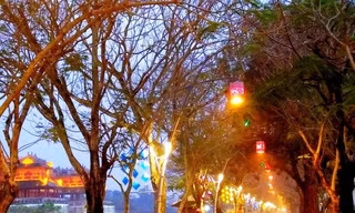 Phố đêm Hoàng thành Huế hoàn tất công tác chuẩn bị nhưng hoãn khai trương vì lý do dịch bệnh. Ảnh: CTV