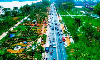 Ngắm xứ Huế khoác ‘áo hoa’ rực rỡ sắc màu ngày Tết