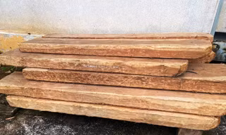 Thu giữ hơn 100 phách gỗ cách hiện trường vụ vận chuyển lâm sản trái phép hàng chục km