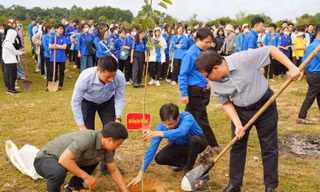 Tuổi trẻ ĐH Huế hưởng ứng cuộc vận động 1 triệu cây xanh đô thị