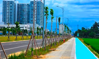 Huế sơn xanh nhiều cây số vỉa hè để làm gì?