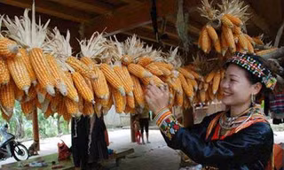 Sơn nữ Việt trả nợ bằng...chuyện ấy