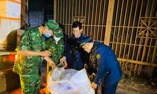 Phát hiện gần 2 tấn nội tạng lợn bốc mùi hôi thối ở thị trấn biên giới