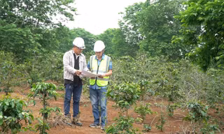 Dự án điện gió hơn 2.000 tỷ đồng ở Quảng Trị vướng giải phóng mặt bằng, huyện sẽ cưỡng chế thu hồi đất