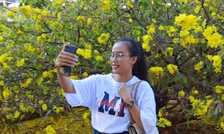Du khách kéo đến cây mai 'khủng' lấy lộc