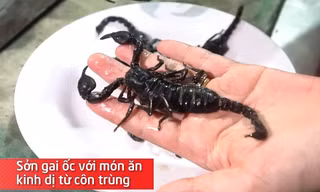 Sởn gai ốc với món ăn kinh dị từ côn trùng
