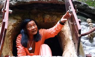 Họa sĩ dựng nhà trên cây sanh