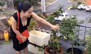 Không gian nhà của MC Cát Tường ở Australia