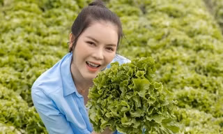 Vườn rộng chục nghìn m2 của sao Việt
