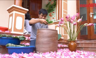 Chàng trai bỏ nghề kỹ sư đi ướp trà sen thu hàng trăm triệu mỗi năm