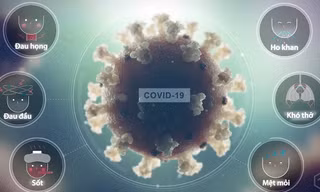 Covid-19 gây tổn thương cơ thể thế nào?