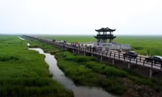 Cầu tre dài nhất thế giới