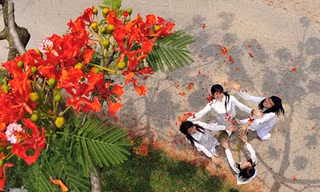 Cuộc thi viết Trà sữa cho tâm hồn: Những tháng năm rực rỡ 