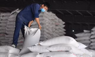 Đối thủ 'trượt dốc', giá gạo Việt xuất khẩu neo cao, đắt nhất thế giới