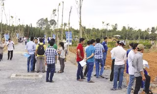 Luật kinh doanh bất động sản mới: Cò đất hết cửa thổi giá, làm loạn thị trường