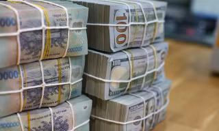 Mua bán dưới 1000 USD chỉ bị phạt cảnh cáo 