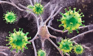 Có thể tiêu diệt được ổ HIV ẩn náu trong cơ thể con người ? 