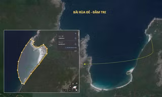 Đề xuất lập bãi cho rùa đẻ trên vịnh Nha Trang