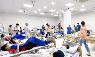 Khánh Hòa kiểm tra toàn bộ bếp ăn trường học sau vụ học sinh ngộ độc tập thể