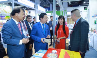 Lần đầu tiên xuất khẩu chính ngạch yến sào Khánh Hòa sang Trung Quốc