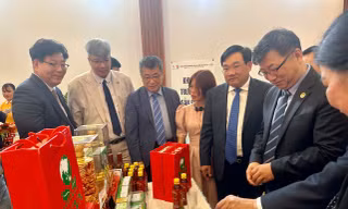 Doanh nghiệp Hàn Quốc tìm kiếm cơ hội làm ăn ở Nam Trung Bộ