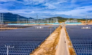 Lý do Chủ tịch Trung Nam Group được gỡ lệnh cấm xuất cảnh