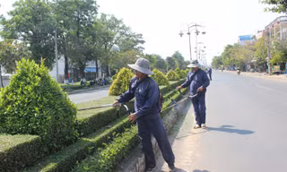 Thêm một tỉnh được yêu cầu cung cấp tài liệu liên quan Cty Cây xanh Công Minh