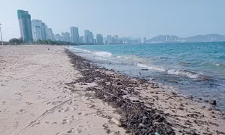Chủ tịch Khánh Hòa chỉ đạo xử lý việc vón dầu, xả thải ở biển Nha Trang