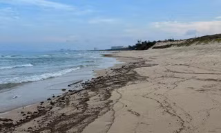 Bãi biển khu du lịch, nghỉ dưỡng Bãi Dài xuất hiện dầu vón cục. Ảnh L.H