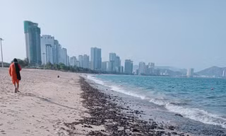 Dầu vón cục trôi vào bãi biển Nha Trang. Ảnh L.H
