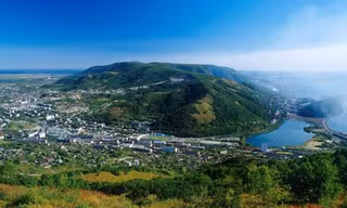 Khu rừng ở ngoại ô Petropavlovk, nơi binh sỹ lẩn trốn