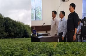 Cựu Giám đốc sở Tài nguyên Bình Dương gây thiệt hại hàng trăm tỷ đồng
