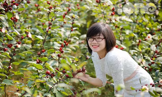 Giới trẻ đổ xô chụp ảnh cùng hoa lạ