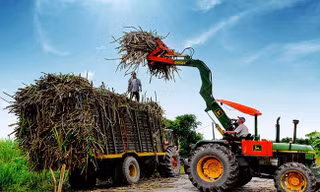 Đường mía 'rửa nguồn' vào Việt Nam né thuế