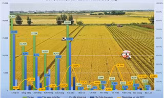 Hơn 72% doanh nghiệp ĐBSCL chịu tác động biến đổi khí hậu 