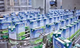 Vinamilk và chiến lược chinh phục thị trường quốc tế