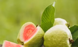 Ổi nhiều vitamin C rất tốt cho sức khỏe nhưng những người này không nên ăn