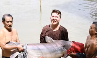 Đàn 'thủy quái' báu vật, mỗi con nặng hơn 100kg chưa từng thấy ở Việt Nam