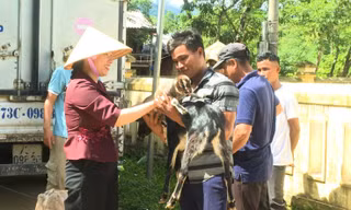 Quảng Bình trao dê giống hỗ trợ sinh kế cho đồng bào dân tộc thiểu số