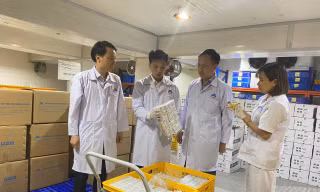 Indonesia nhập khẩu vắc xin dịch tả lợn châu Phi của Việt Nam 