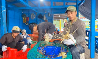 Xuất khẩu nông sản tăng ngay đầu năm, vững tiến tới 65 tỷ USD