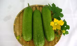 Sai lầm cần tránh tuyệt đối khi giảm cân bằng bí đao kẻo ngộ độc, mất mạng