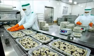 Trung Quốc chi 8 triệu USD mua nghêu Việt Nam