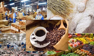 Lộ diện 'ngôi sao' sáng nhất của nông sản Việt Nam