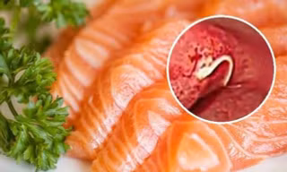 Những loại thực phẩm quen thuộc là ‘ổ chứa vi khuẩn’ khi ăn cần cực kỳ thận trọng