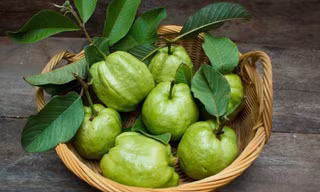 Ổi nhiều vitamin C, ăn rất tốt, nhưng ăn kiểu này thành ‘cực kỳ độc hại’