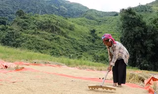 Hỗ trợ bà con dân tộc thiểu số xã biên giới thoát nghèo bền vững
