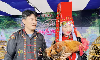 Độc đáo cuộc thi hoa hậu gà