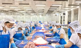 Nước nào tiêu thụ cá tra Việt Nam lớn nhất thế giới? 
